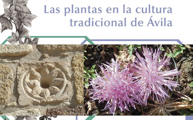 Etnobotanica-abulense-Las-plantas-en-la-cultura-tradicional-de-Avila_Emilio Blanco_2