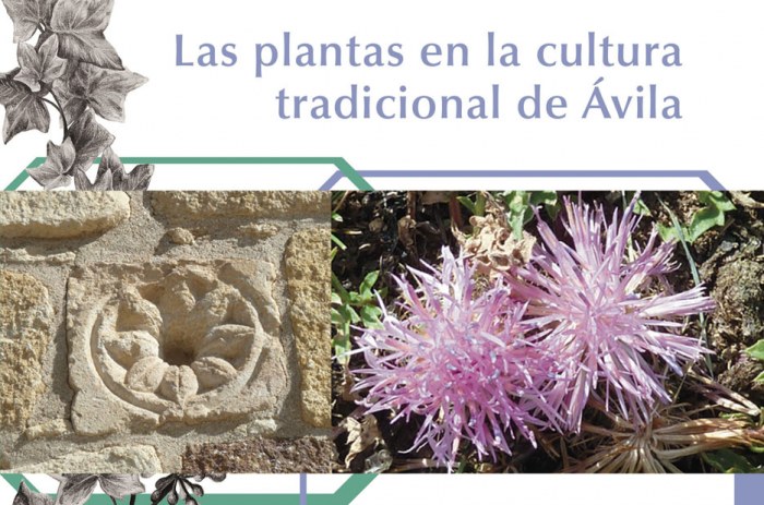 Etnobotanica-abulense-Las-plantas-en-la-cultura-tradicional-de-Avila_Emilio Blanco_2