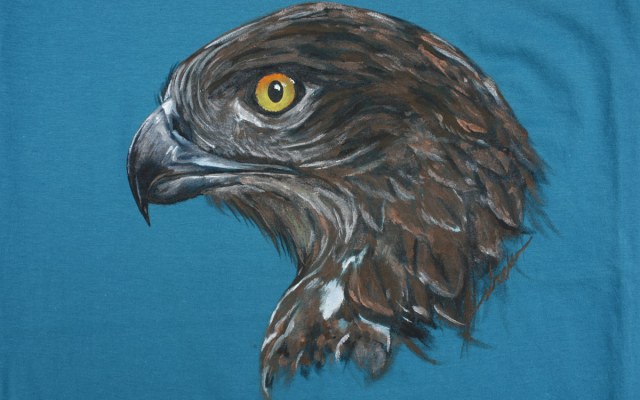 aguila culebrera_sirem