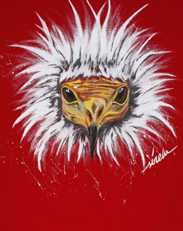 alimoche_sirem_2