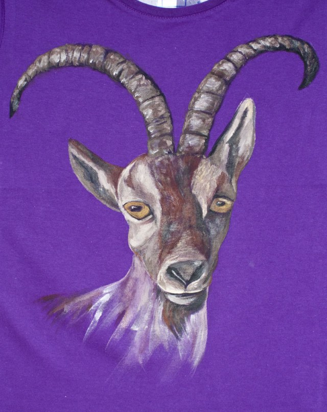 cabra montesa_sirem