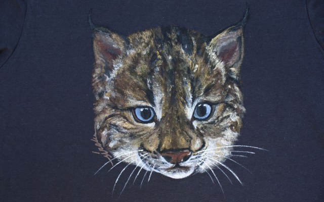 lince bebe_sirem