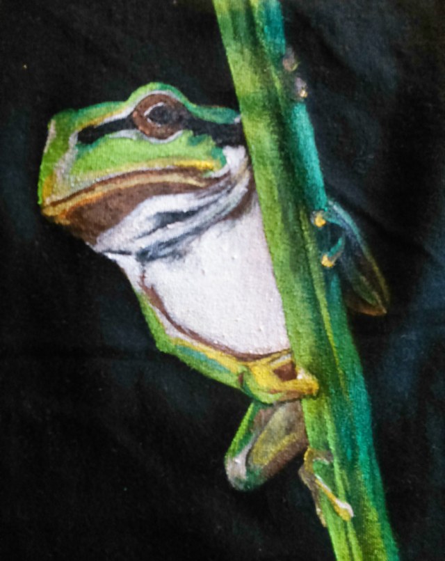 ranita_sirem_3_camiseta pintada a mano